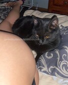 Анкета проститутки Эвелина - метро Лефортово, возраст - 24